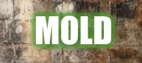 Mold Damage Restoration